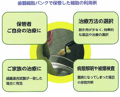 神経再生の研究が急速に進み、脊髄損傷の治療は3～5年後の実用化も期待！