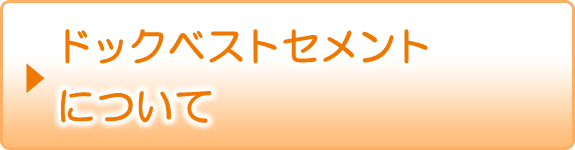 ドックベストセメントについて