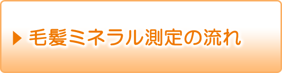 毛髪ミネラル測定の流れ