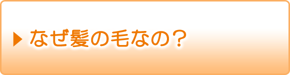 なぜ髪の毛なの？