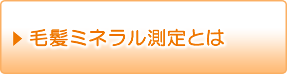 毛髪ミネラル測定とは