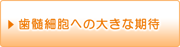 歯髄細胞への大きな期待