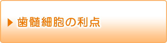 歯髄細胞の利点