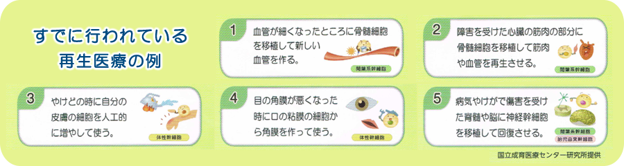 再生医療のカギは「幹細胞（細胞のタネ）」！！実用化のための研究が日々進んでいます。