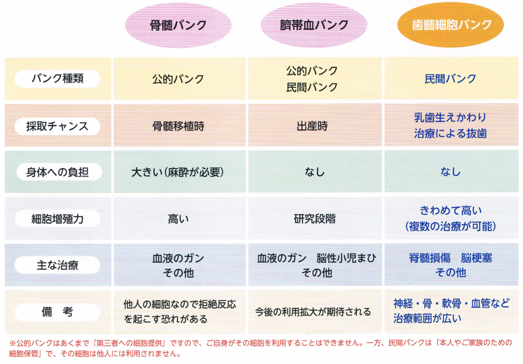 幹細胞の採取方法はイロイロ。すべての点で最適なのが「抜去歯」からの採取です。