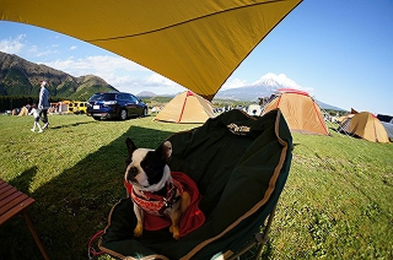 GW Mt.Fuji Camp