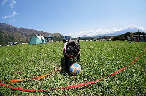 GW Mt.Fuji Camp