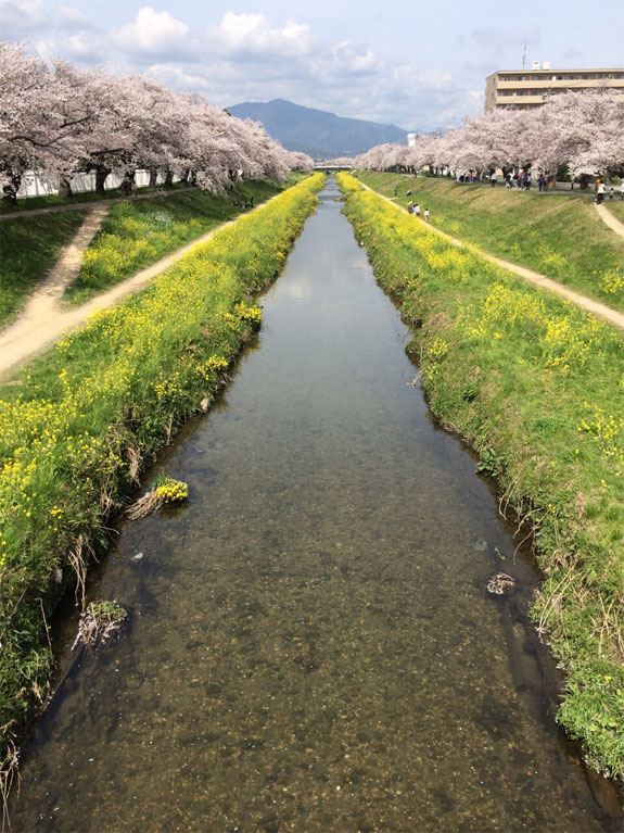 みんなで迎えた10年目