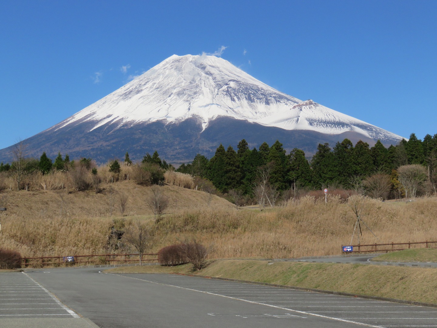 富士山