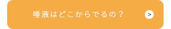 唾液はどこからでるの？