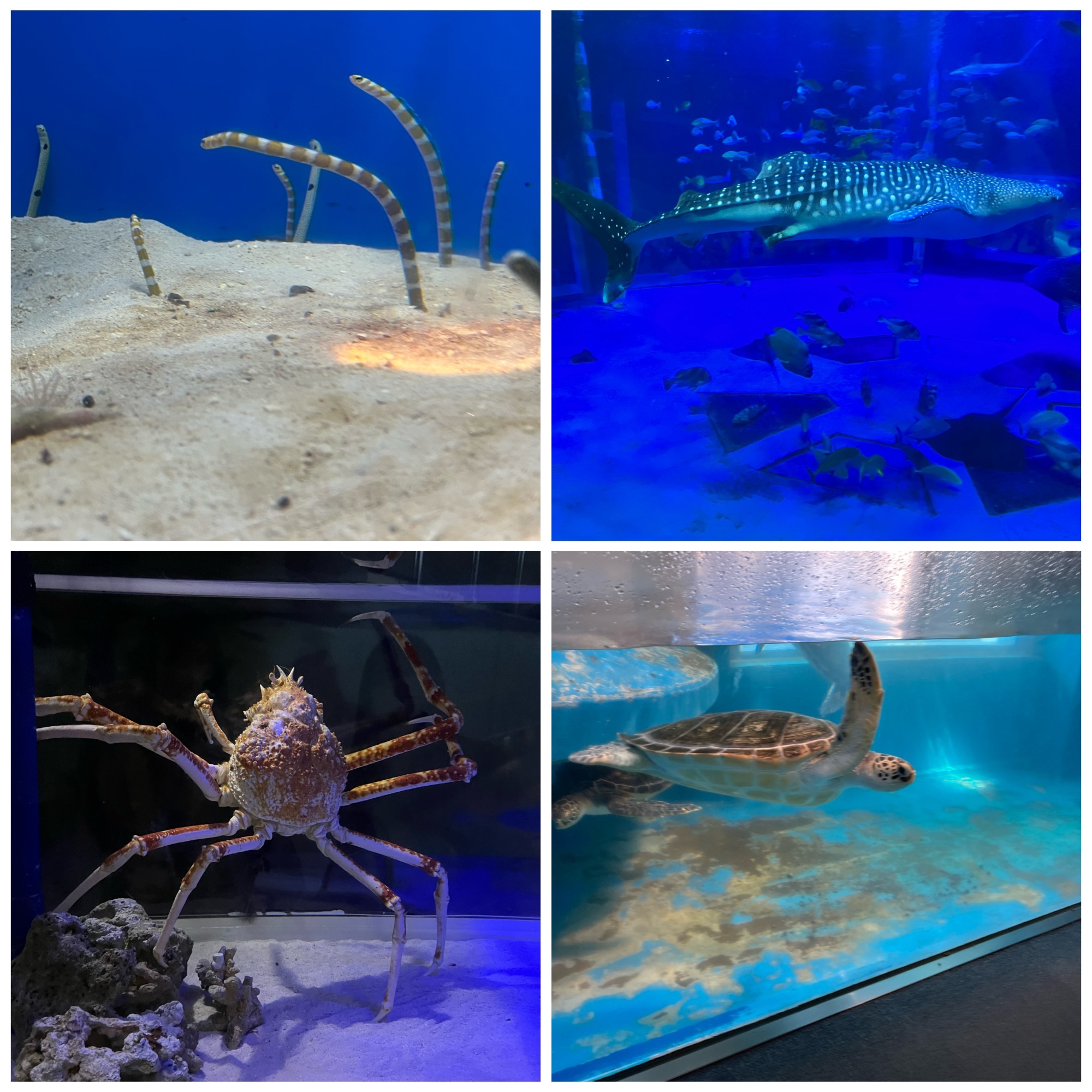 水族館