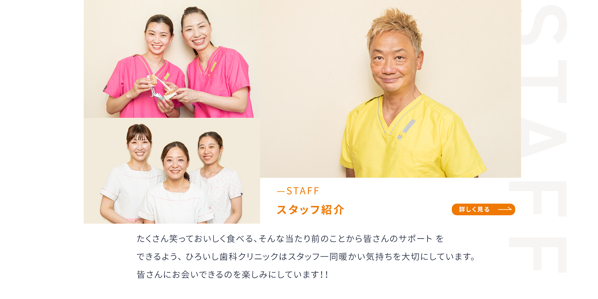 STAFF スタッフ紹介　詳しく見る≫