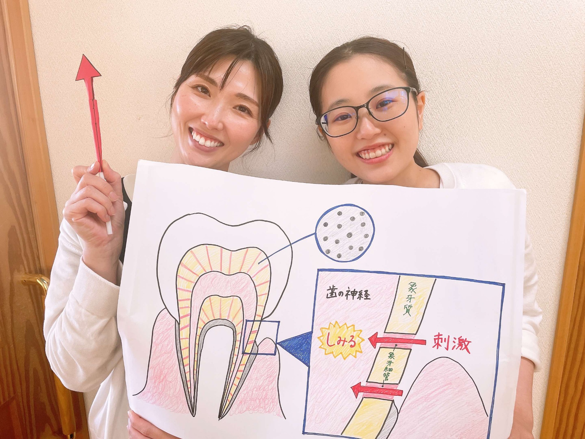  お子様の歯並び矯正法「プレオルソ」